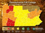 Despite Weather, DCNR Projects Upcoming Week As ‘Peak Foliage’