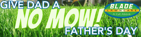 NO MOW